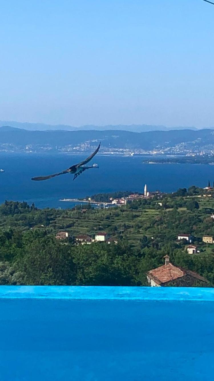 Apartmaji Meli Pu Izola Esterno foto